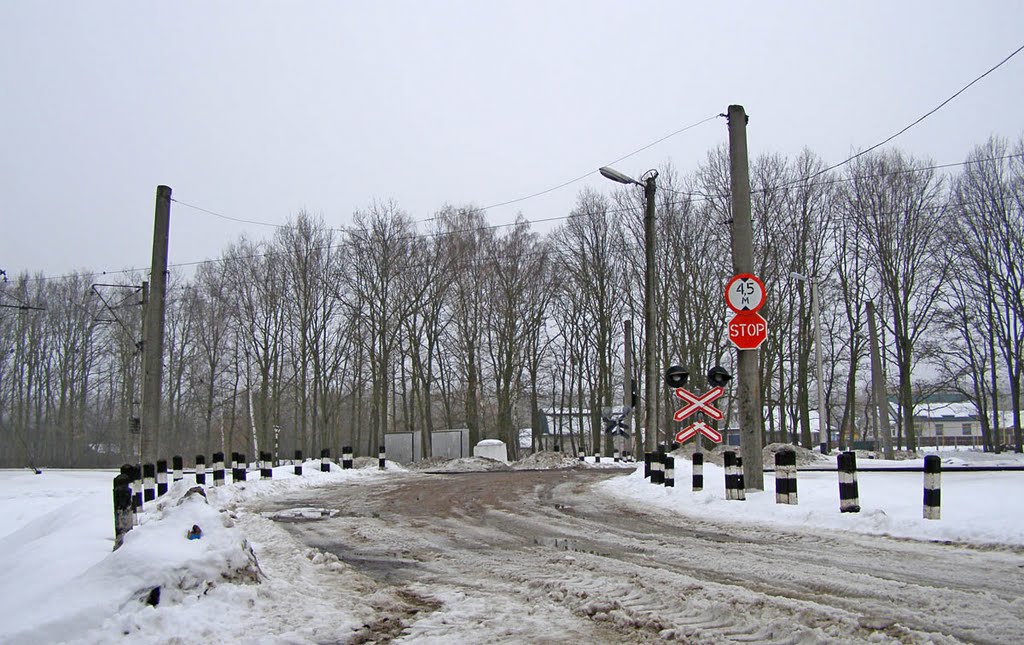 Переезд на перегоне Коростень - Коростень-Подольский, 20.02.2010
