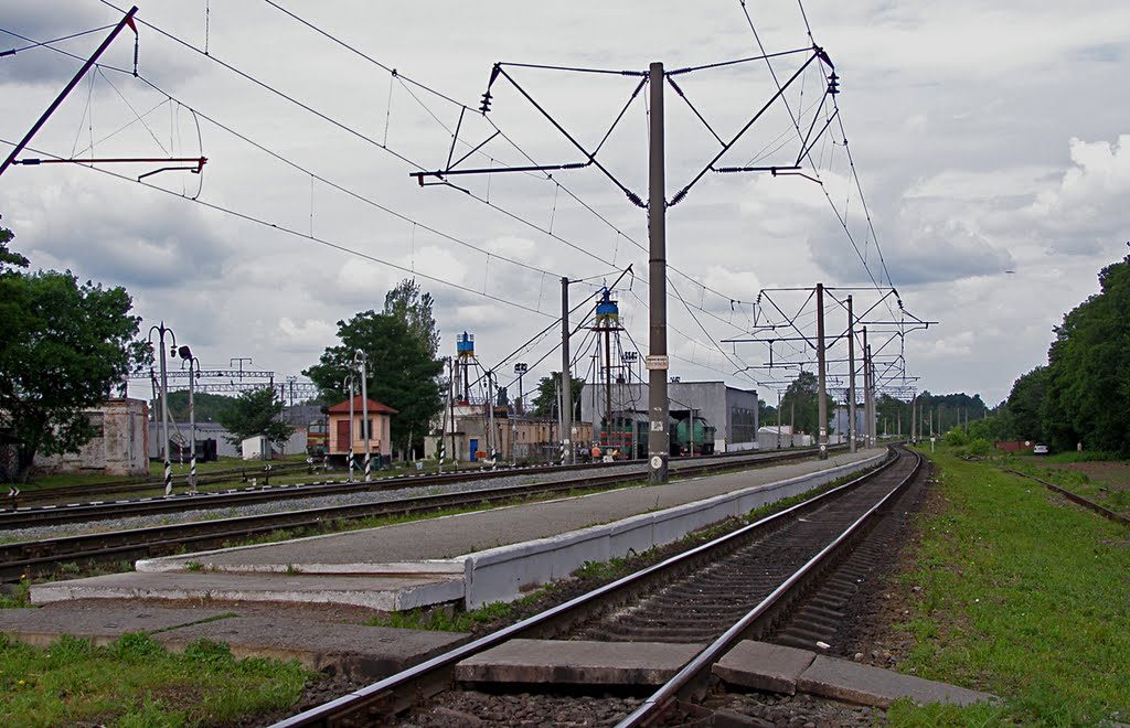 О.п. Ковельский Парк, 16.06.2010