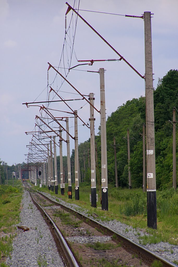Участок Коростень - Чигири, 16.06.2010