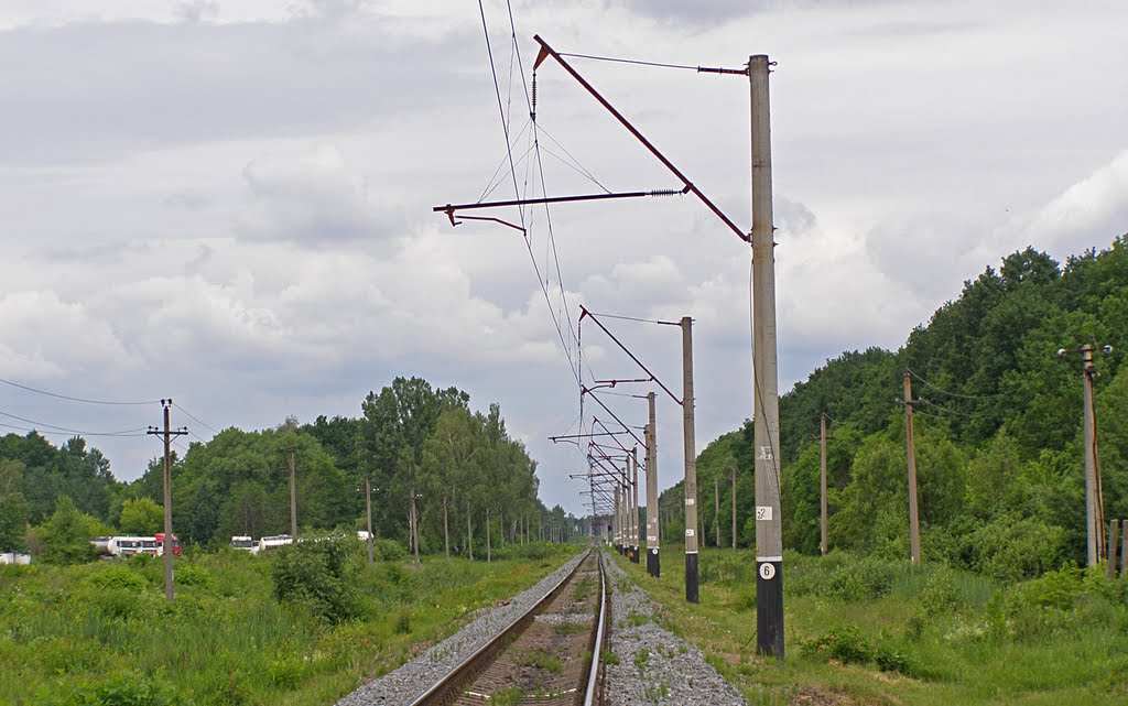 Участок Коростень - Чигири, 16.06.2010