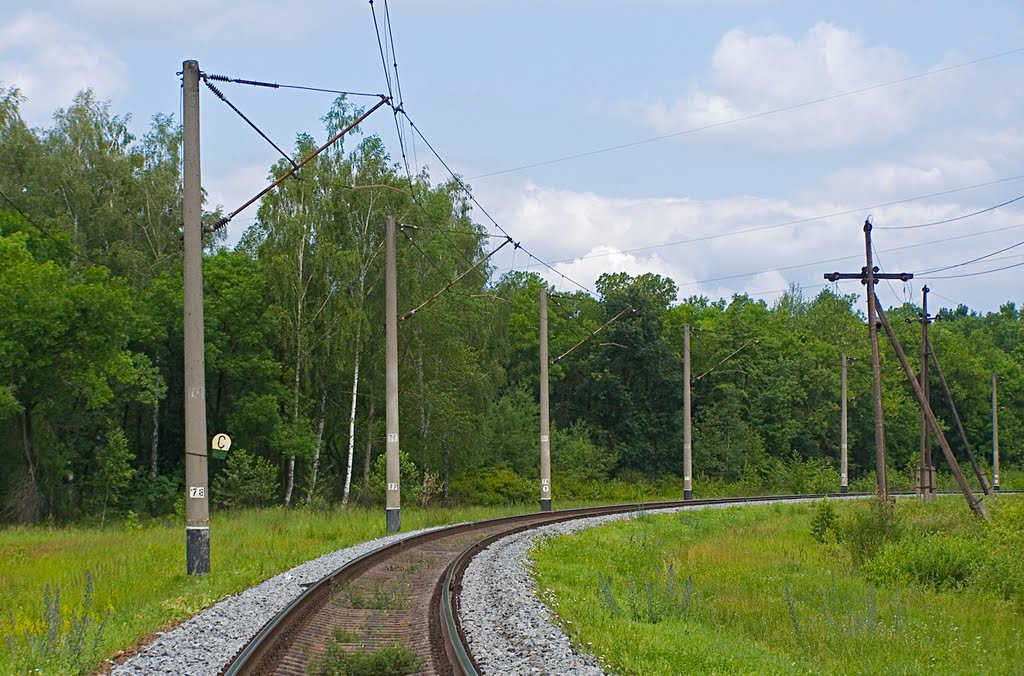 Перегон Коростень - Коростень-Подольский, 16.06.2010