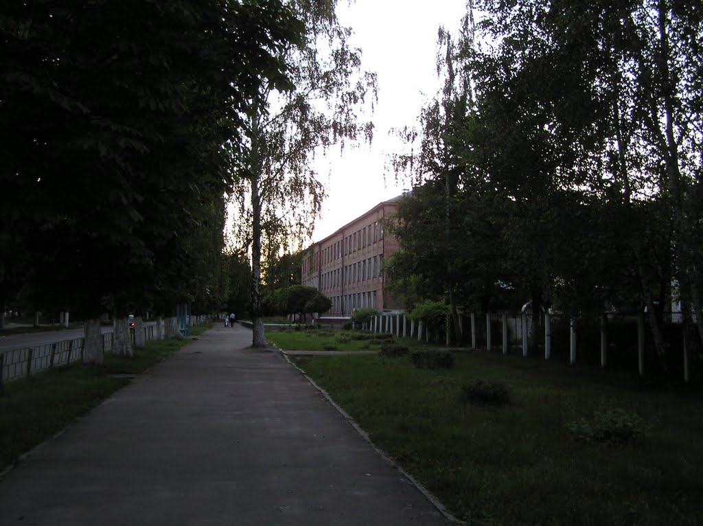 Школа № 9.