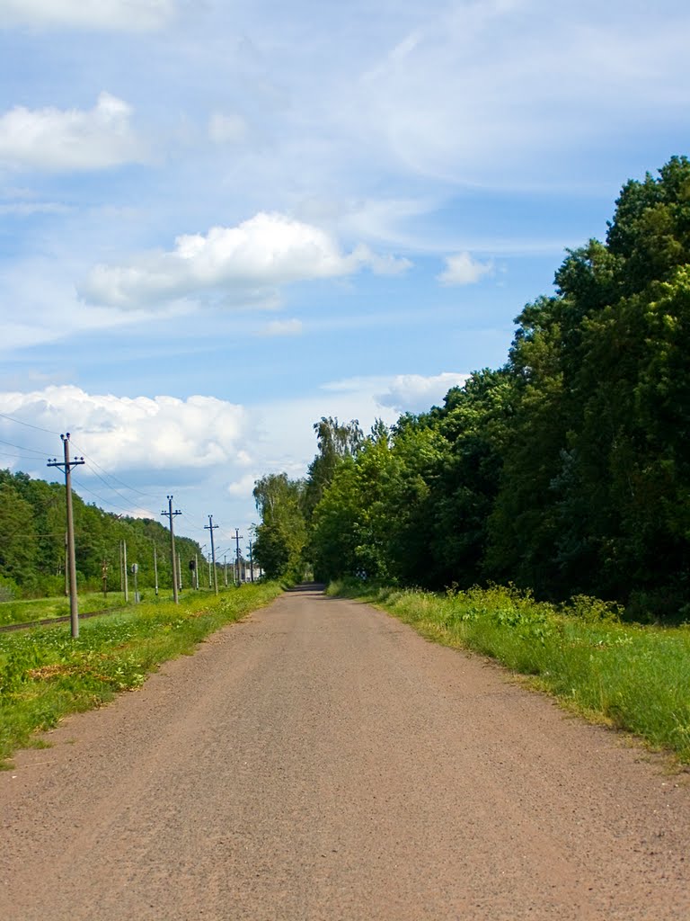 Road in Korosten/Дорога в Коростене, 16.06.2010