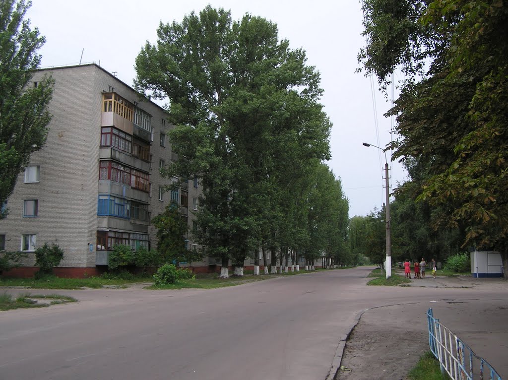 Осокор біля будинку.