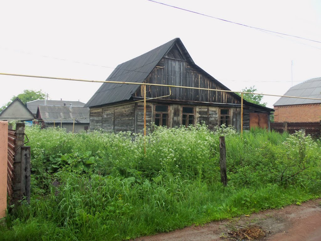 Holzhaus