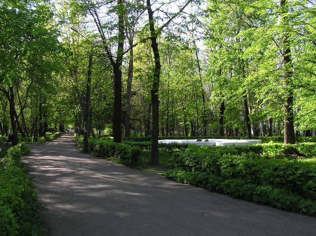 В парку.