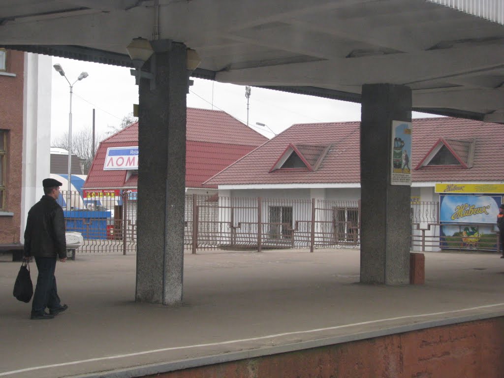 Украина, Коростень, вокзал, февраль 2011