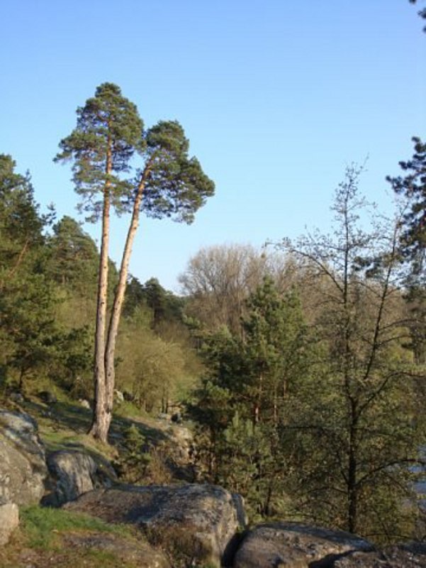 Korostyszew, ul.Bilszowycka