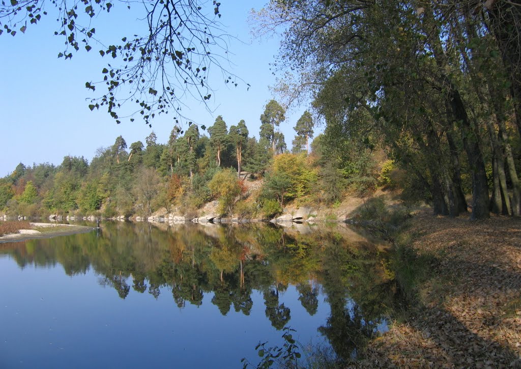 р. Тетерев (возле Дома отдыха)