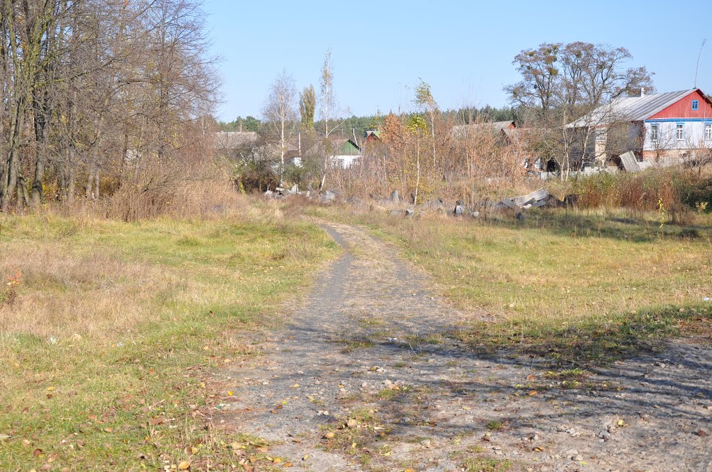 Дорога