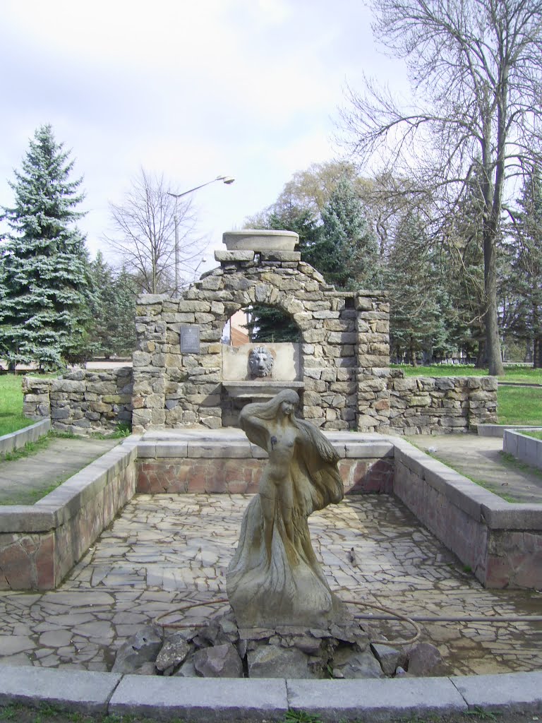 г.Коростышев, остатки купален Олизара в парке.