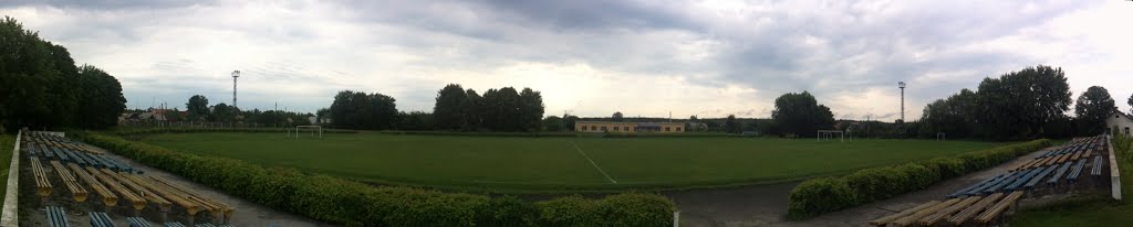 Estadio-Shakhtar