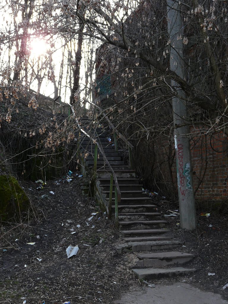 Парковая лестница. Коростышев