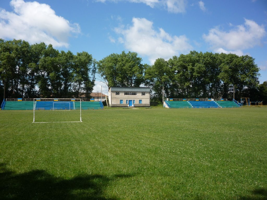 Luginy Stadium