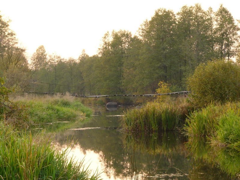 River near Krupchatka