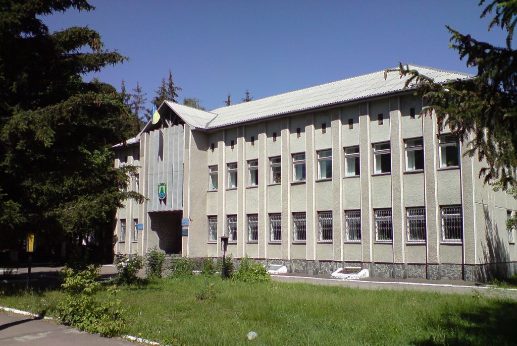 Town Council