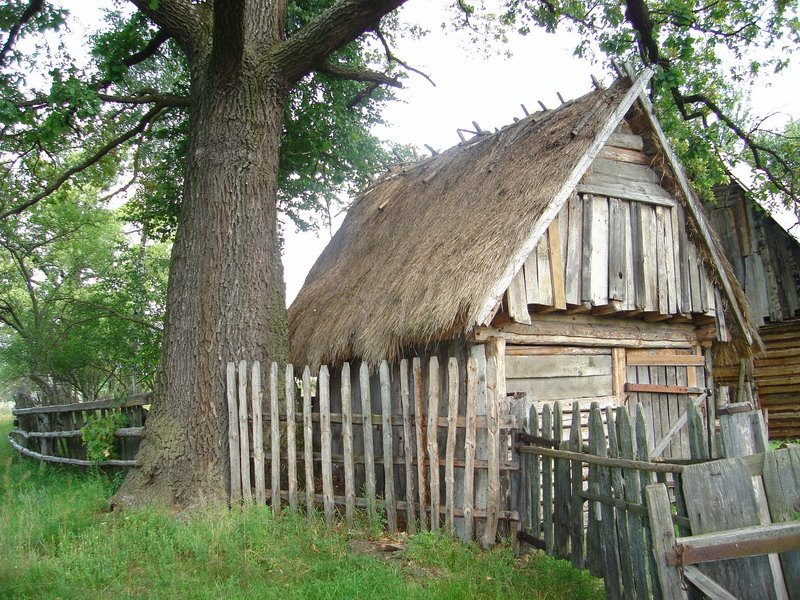 Arxitektura v stile XIX veka