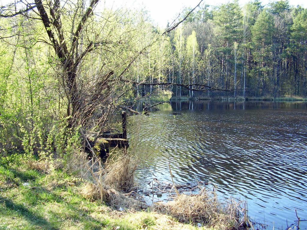 В лесу, Лугины. Пасха 2009