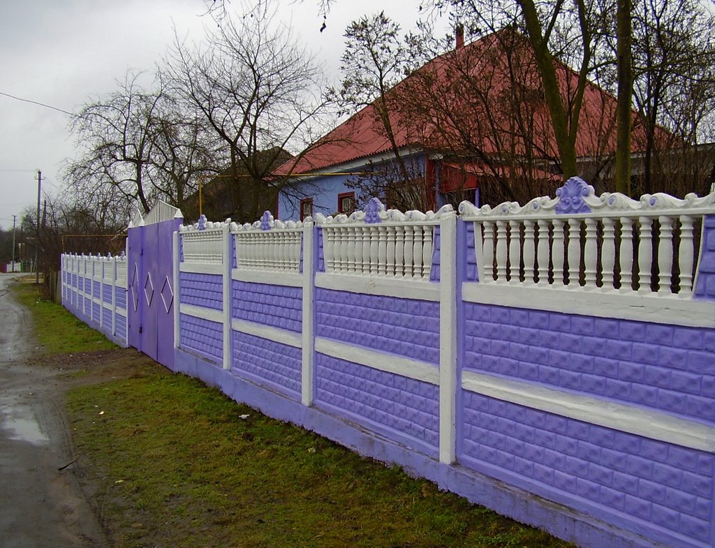 Paradoxes of architecture: freak fence
