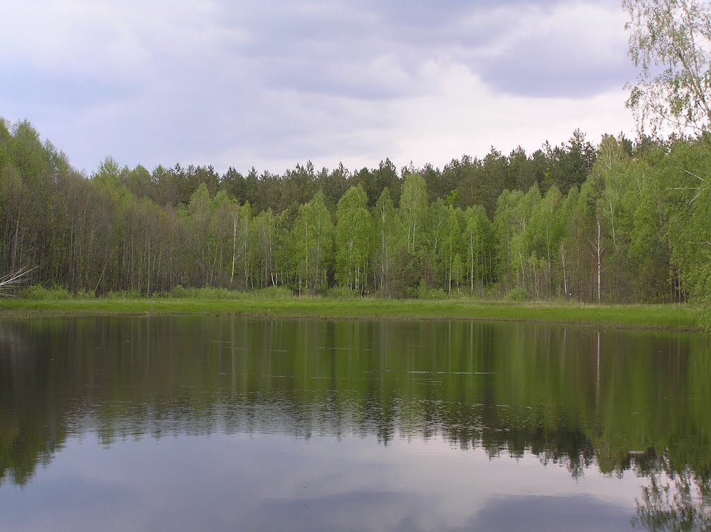 Крупчатка