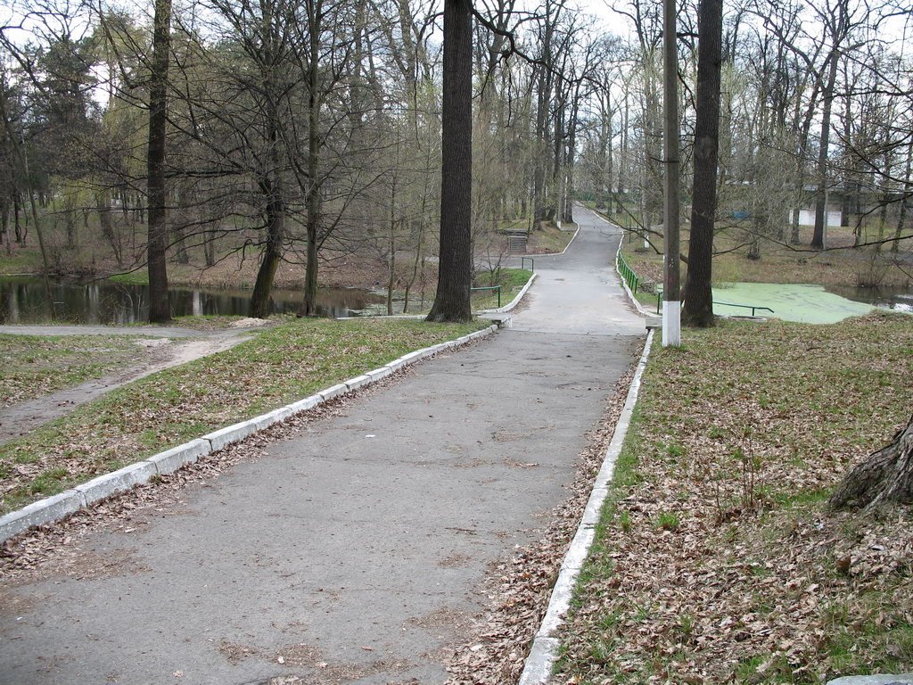 In the Central Park