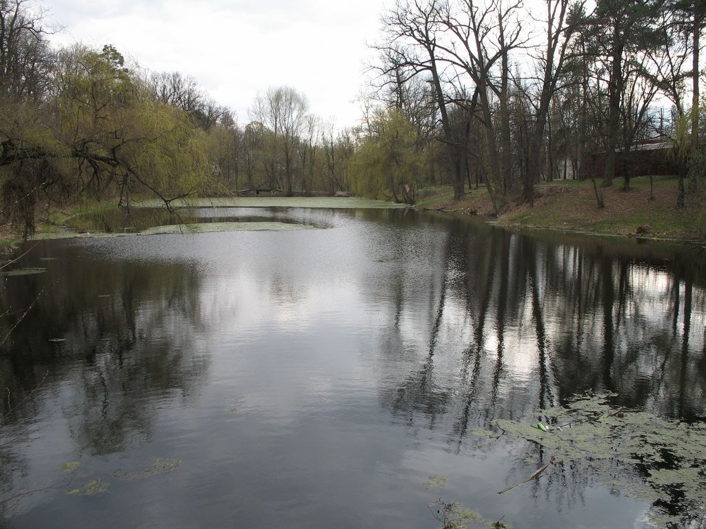 Pond
