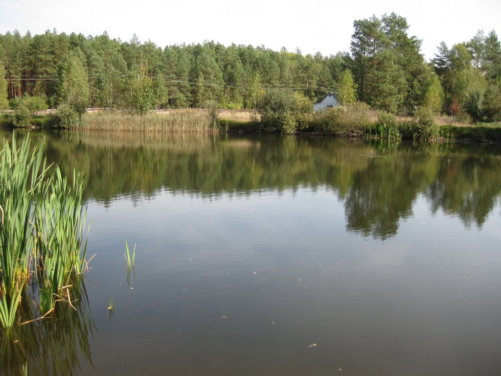 pond in the garden farm Bukach