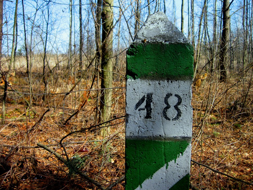 48