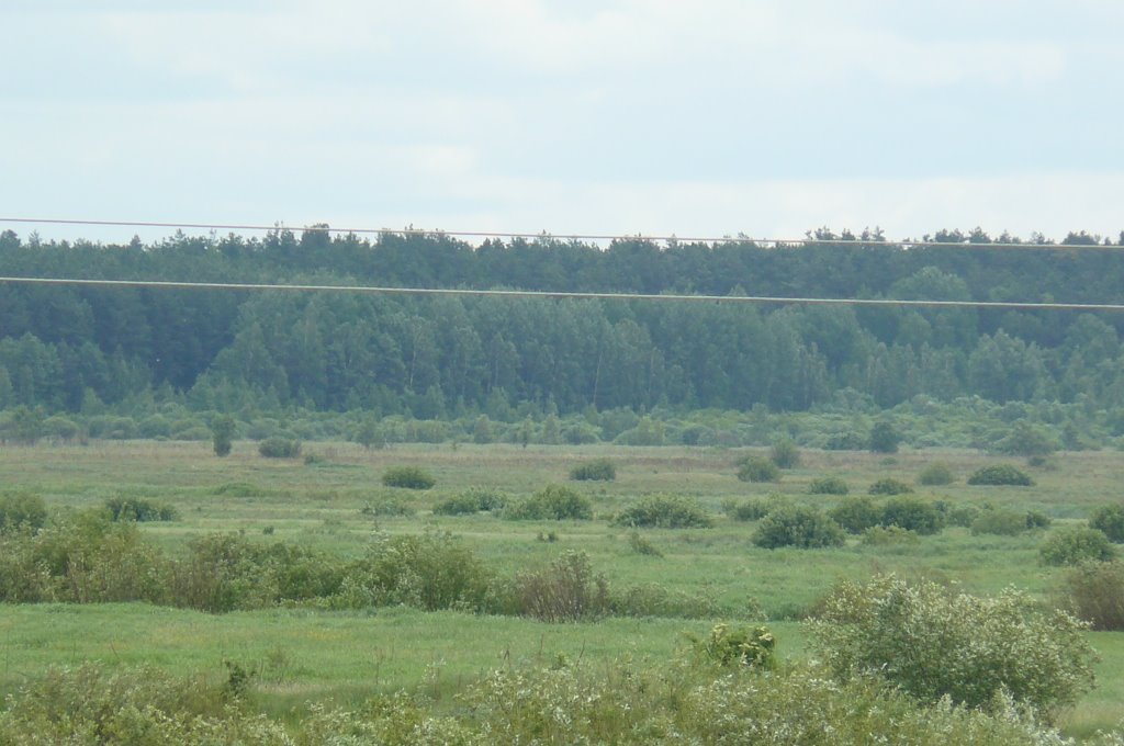 полесье