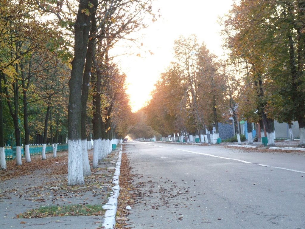 Main street- trees