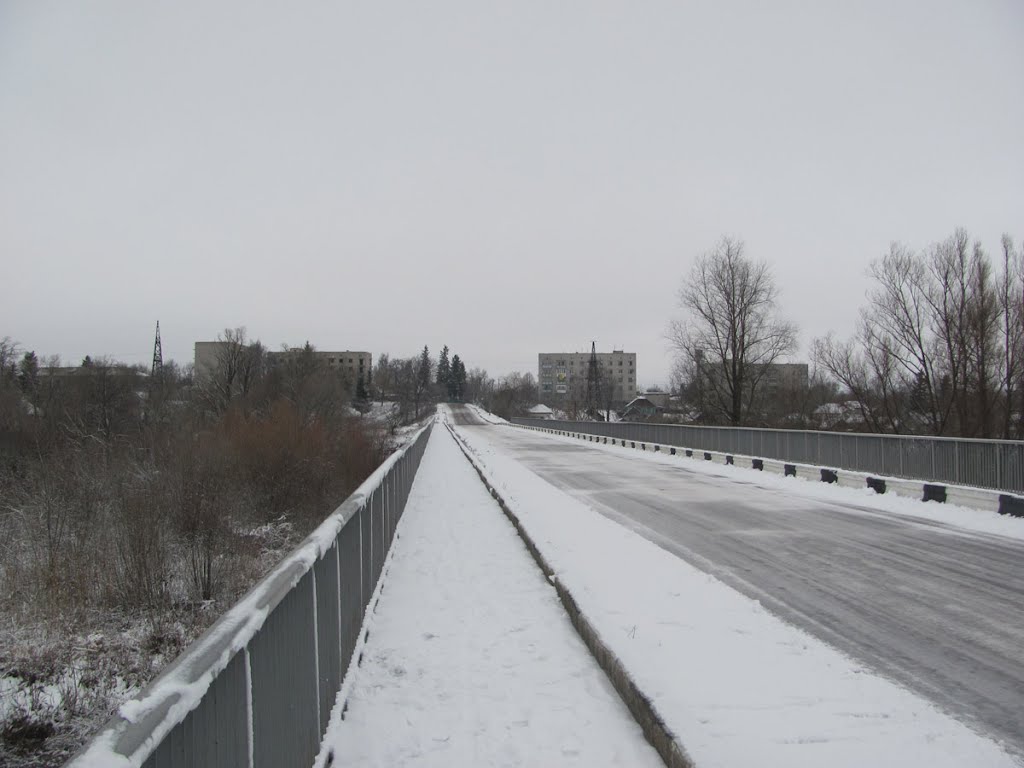 Мост в Народичи