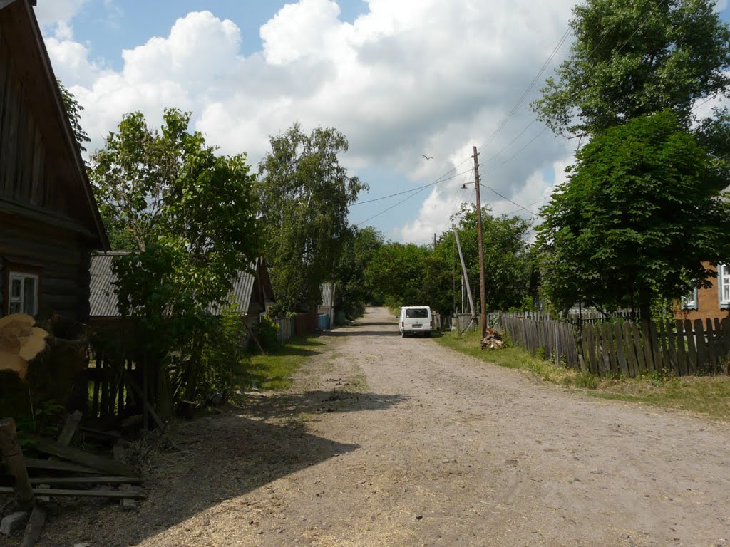Народичи. Жизнь есть