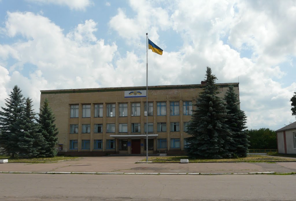 Районная рада?. Народичи