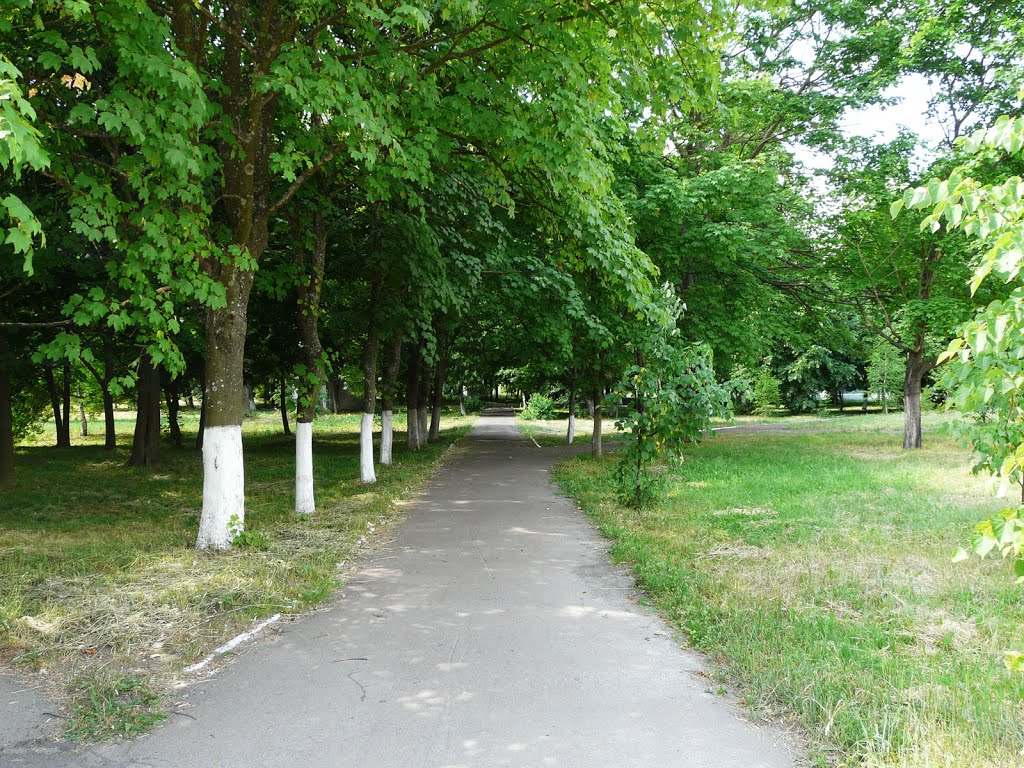 Народичи. Парк
