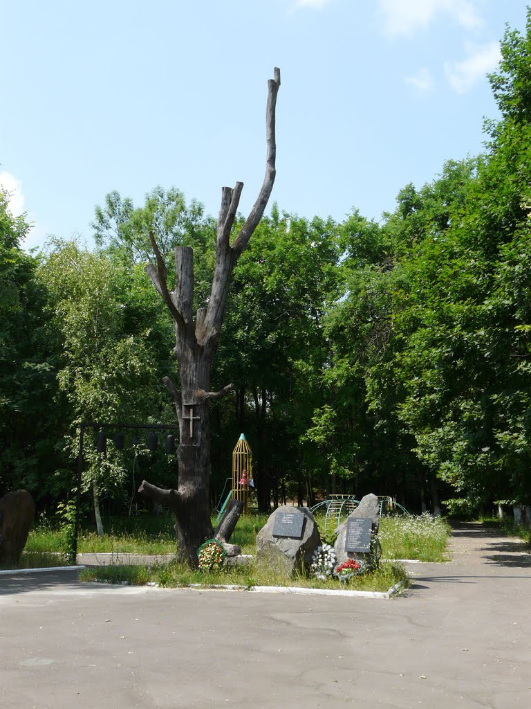 Narodychi