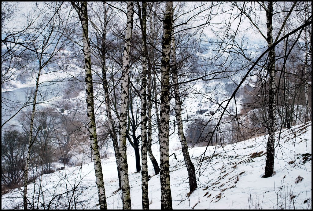 В  парке  над  р.  Случ.
