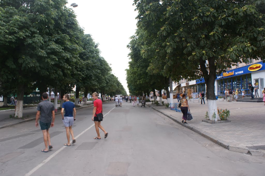 День міста в Новограді