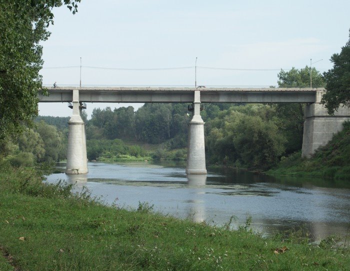 Житомирський міст
