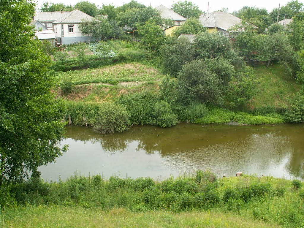 Болото ниже дамбы