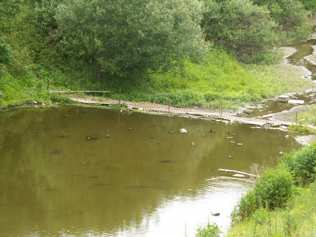 Болото ниже дамбы