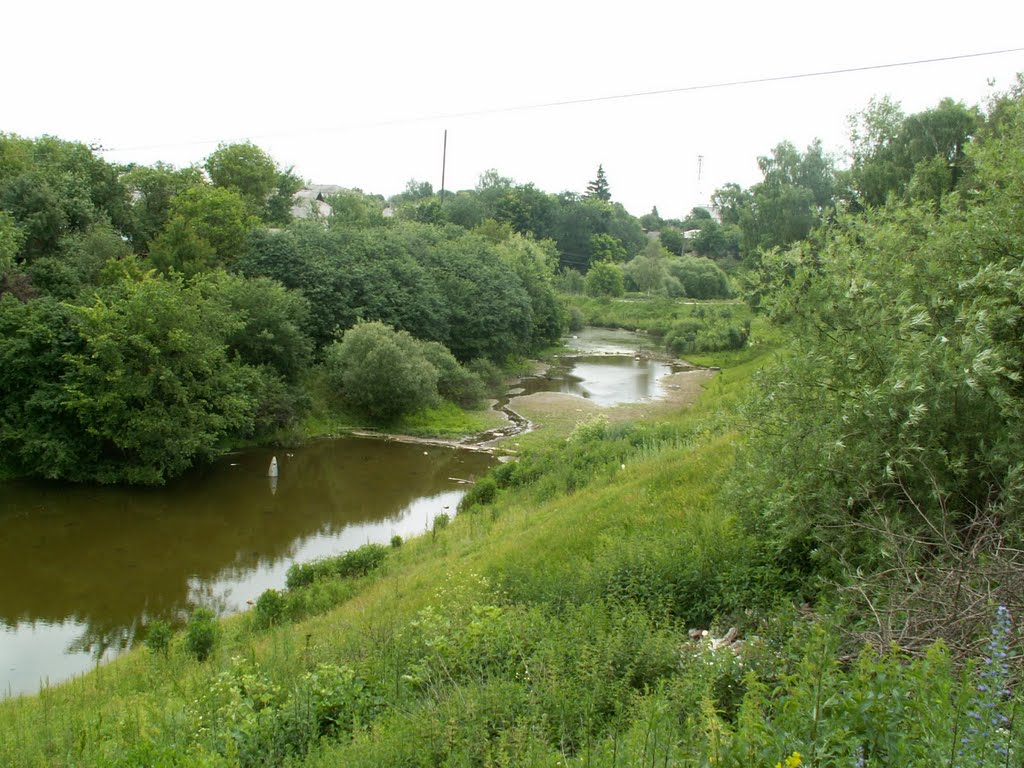 Болото ниже дамбы