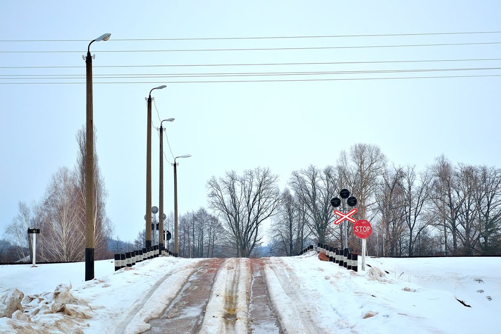 Переезд на перегоне Овруч - Толкачевский