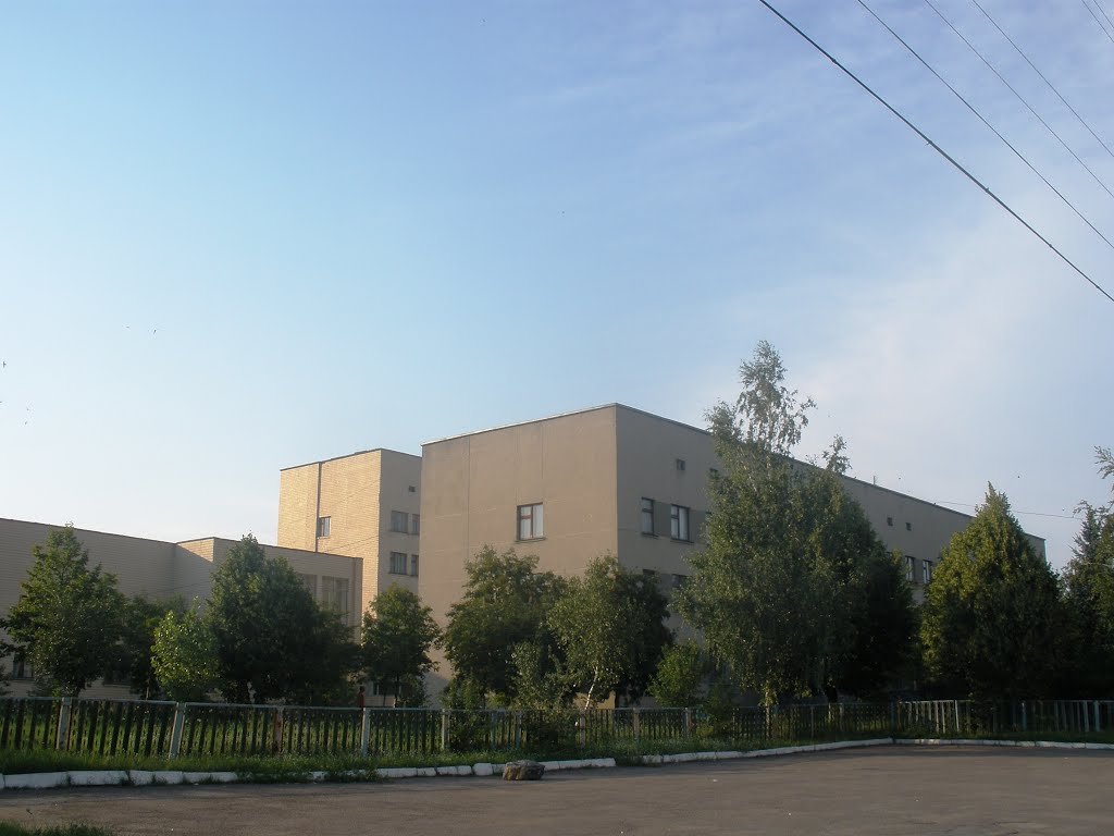 Больница. пгт Попельня.