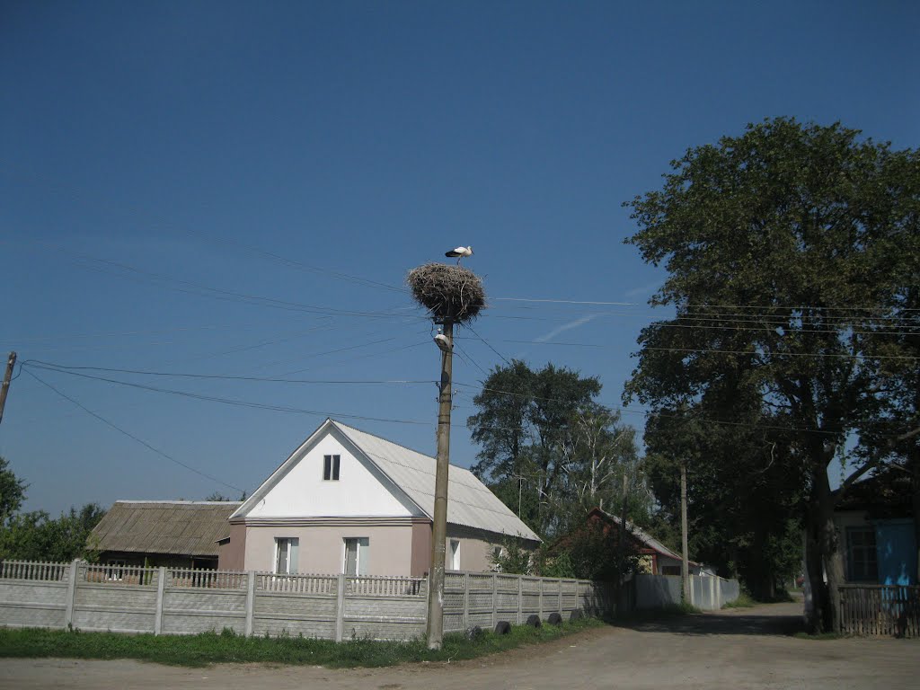 Радомишль