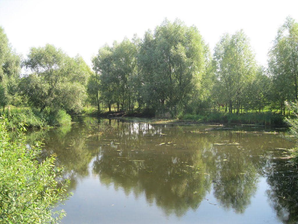 Радомишль