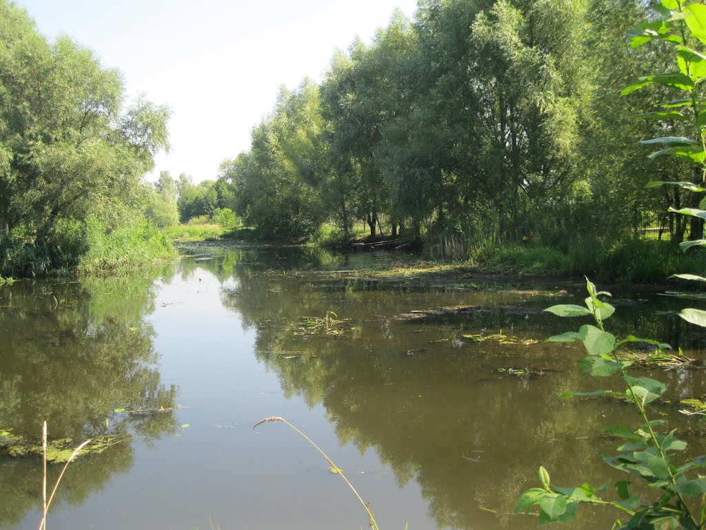 Радомишль