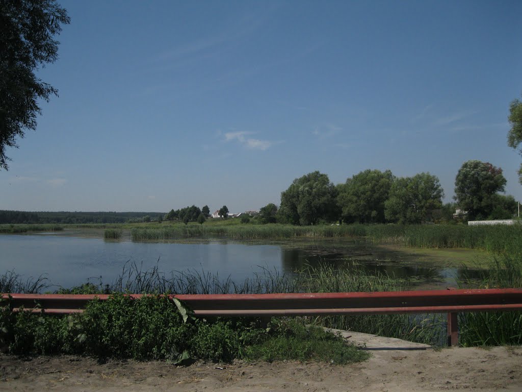 Радомишль
