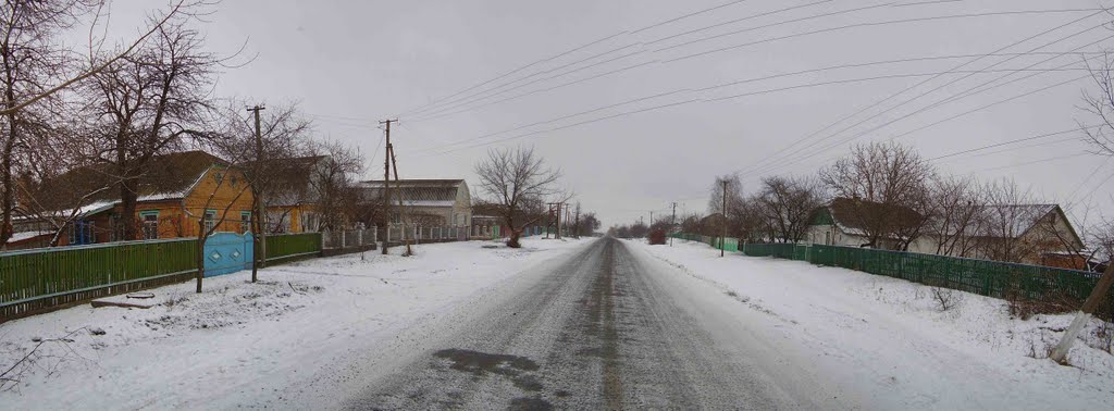 P1250091 Panorama с 5 фото (25.01.2011)