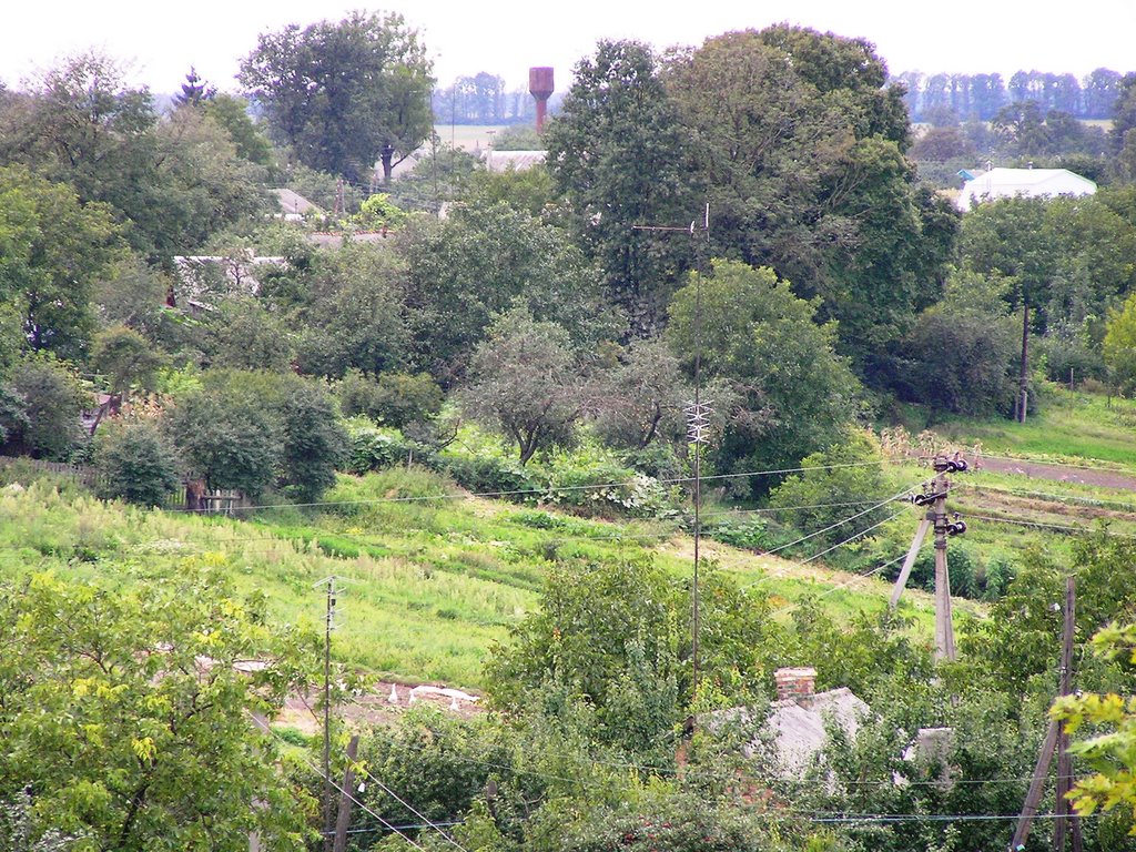 Поляковий горб