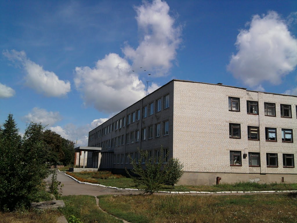 Чудновская гимназия (средняя школа)